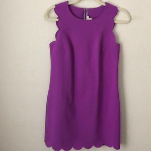 J.Crew Bright Amethyst Scalloped Shift Dress